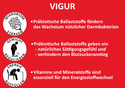 VIGUR - Präbiotische Ballaststoffe & Energielieferanten.